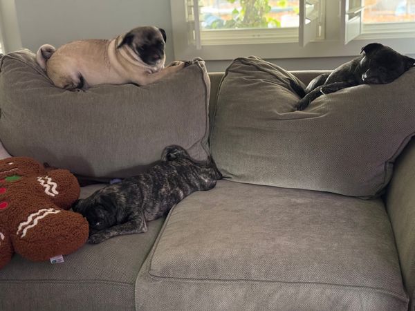 Less "allies" more Comrades.