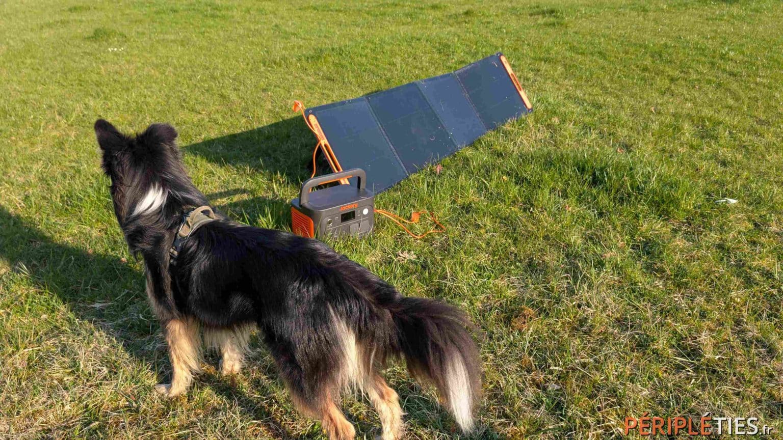 Ulysse supervising the solar charging