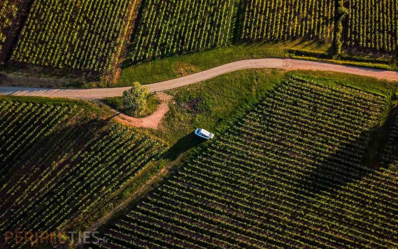 The Alsace wine route by motorhome: our itinerary