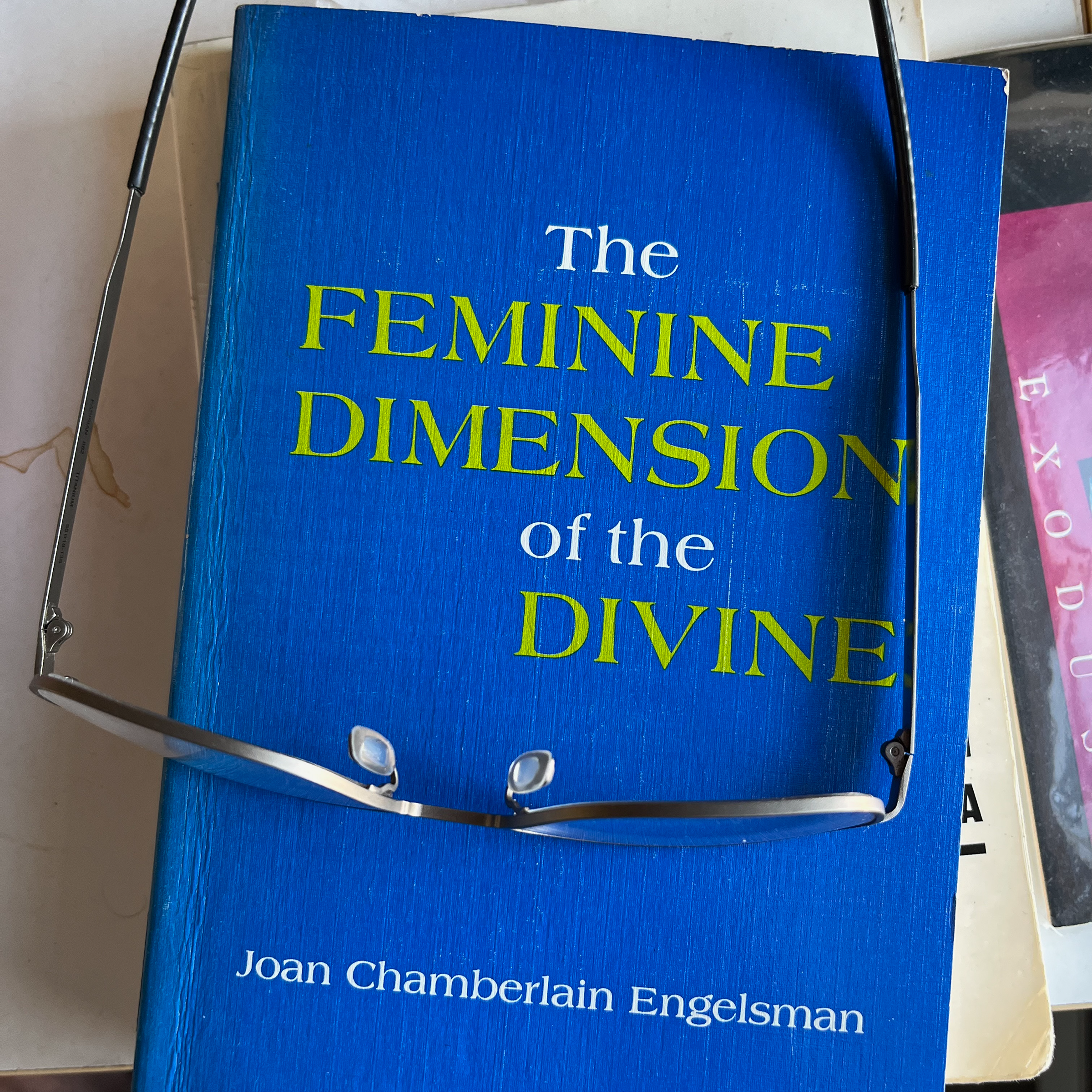 Joan Chamberlain Engelsman's THE FEMININE DIMENSION OF THE DIVINE