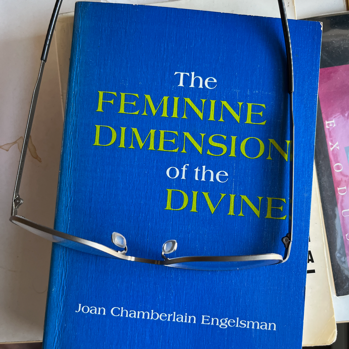Joan Chamberlain Engelsman's THE FEMININE DIMENSION OF THE DIVINE