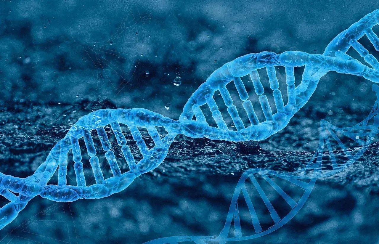What if - Your Genes