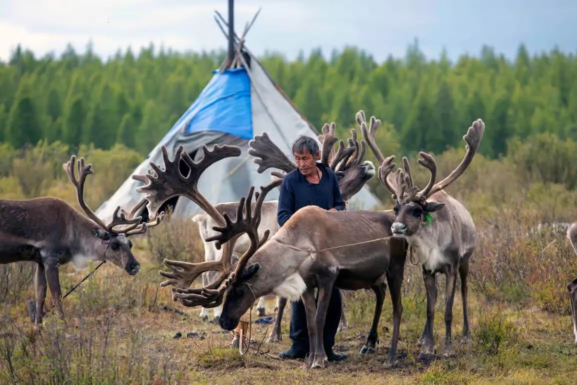 Merry Christmas 2025