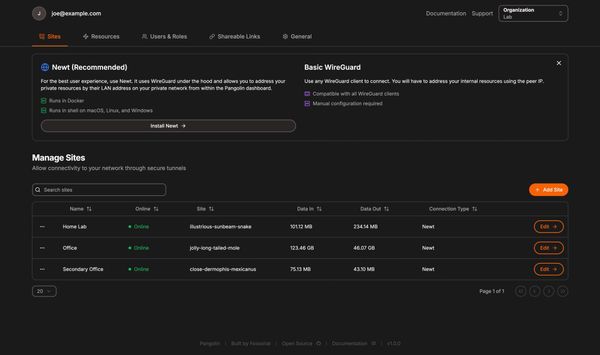 Pangolin - An all-in-one proxy