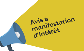 Tchad : Appel à Manifestation d'Intérêt pour services de Consultants (Projet PRODEST)