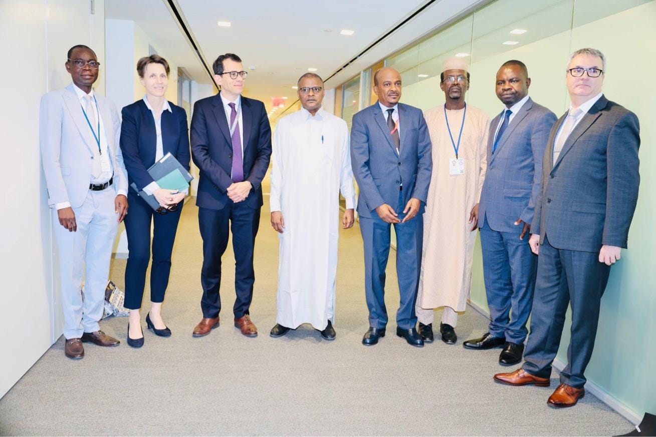 Des membres du personnel du Département des affaires fiscales du FMI et la délégation du ministre tchadien des Finances, Tahir Hamid Nguilin, sont photographiés lors d'une réunion de travail. Photo : FMI/Erin Scott.