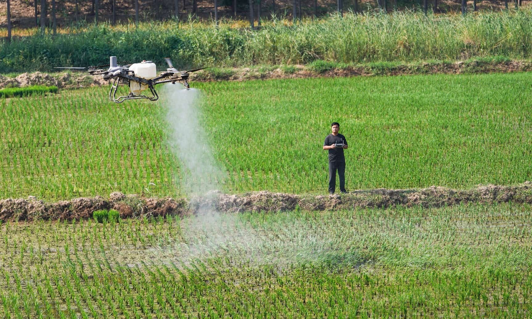China's Comprehensive Farmland Protection and Ecological Restoration