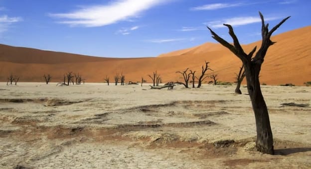 Le changement climatique en Afrique. L'Afrique perd 15 % de son PIB en raison du changement climatique. Photo : africa.businessinsider.com