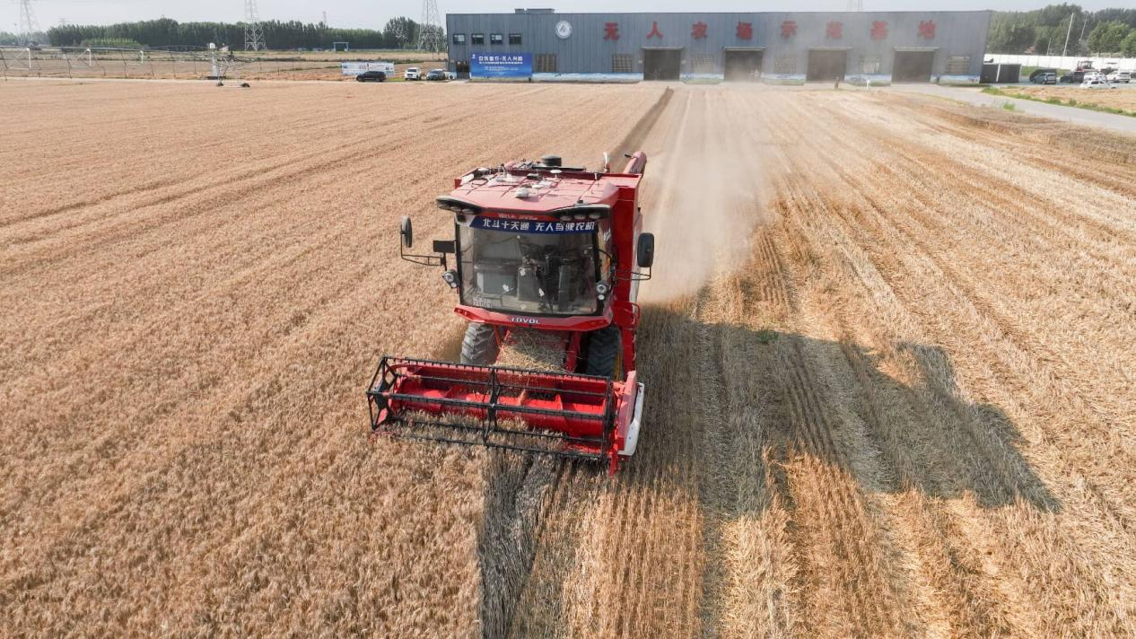 Revolutionizing Agriculture: Technology's Impact on Shandong's Fields