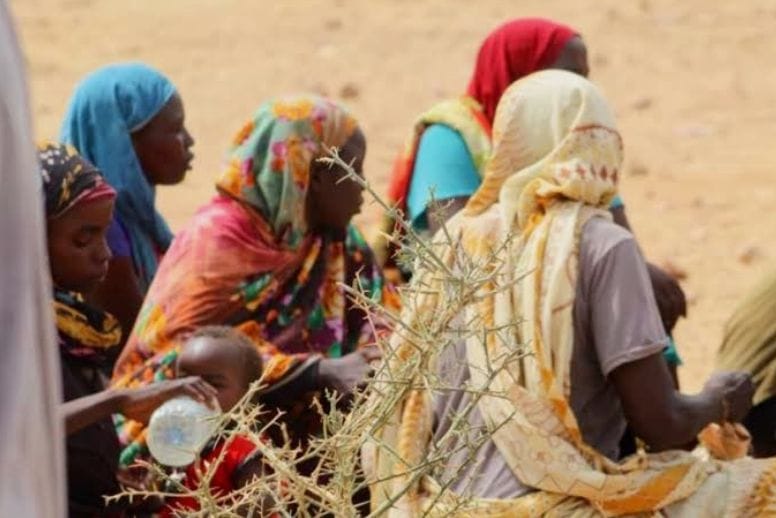 La microfinance au Tchad : levier de développement ou simple filet de sécurité ?