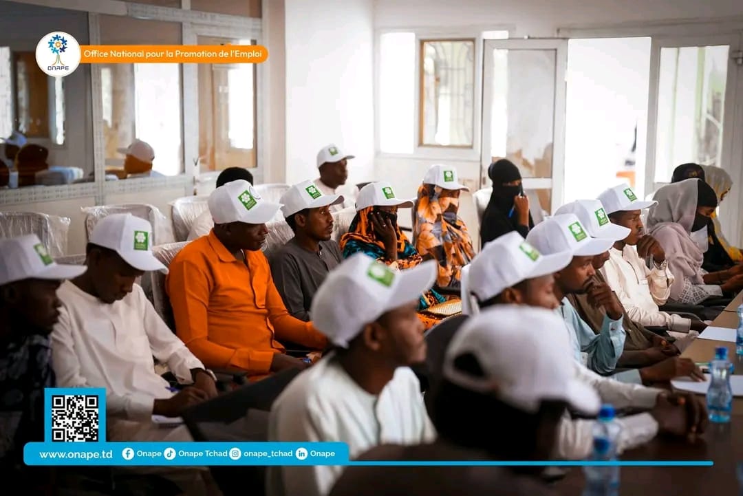 Tchad - Crédit Agricole et ONAPE : le PROJEV accélère l'insertion des jeunes dans les métiers verts