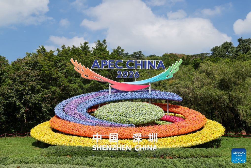 From Border Town to Innovation Hub: What Shenzhen's Rise Tells Us About the Asia-Pacific Future