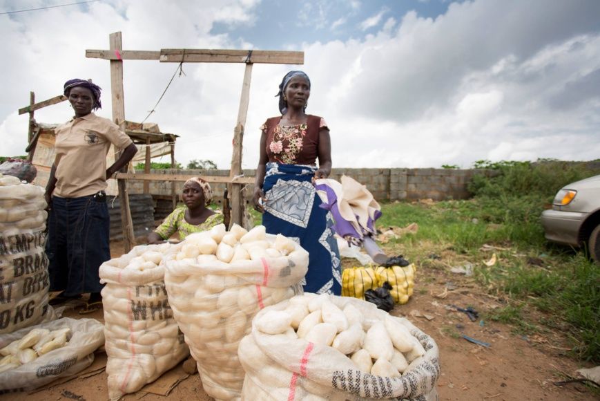 Lancement Afrique de l'Ouest du Rapport Mondial sur la Nutrition 2016