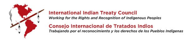 The International Indian Treaty Council (IITC) condemns the use of Deadly Force by Law Enforcement against Standing Rock Water Protectors, calls for additional UN action