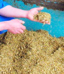 Mélamine/Chine: 294.000 enfants ont été malades, 154 sont dans un état grave