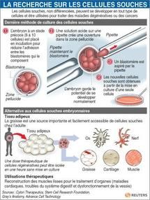 Barack Obama relance la recherche sur les cellules souches