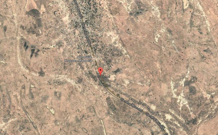 Tchad : Deux manifestants tués et six blessés par les éléments de la gendarmerie à Mandélia