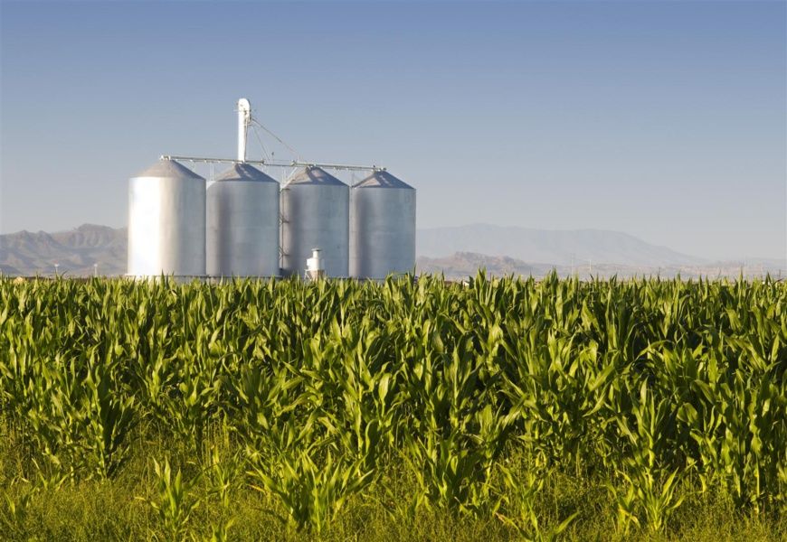 Agribusinesses and African Smallholders Seize $1 Trillion Food Market as Meals Replace Minerals to Restart African Economic Growth, New Report