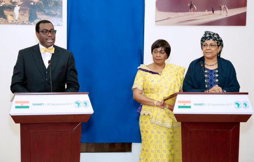Niger : Akinwumi Adesina, élevé à la dignité de Grand officier de l’ordre du Mérite
