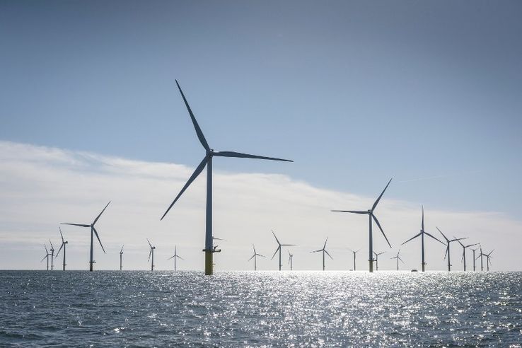 Un champ d'éoliennes en mer. Crédits photo : sources
