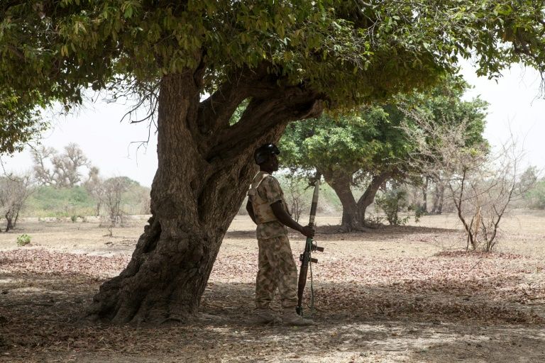 Un soldat nigérian en opération dans le nord-est du pays, près de Damasak, le 25 avril 2017 / © AFP/Archives / Florian PLAUCH