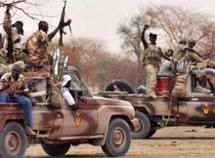 Des troupes de l'armée tchadienne.