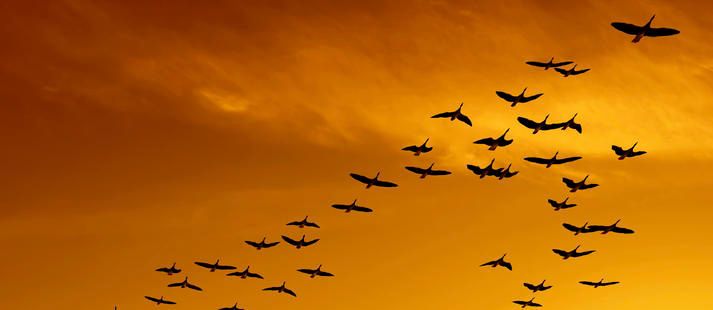 Illustration. Crédits photo : DR