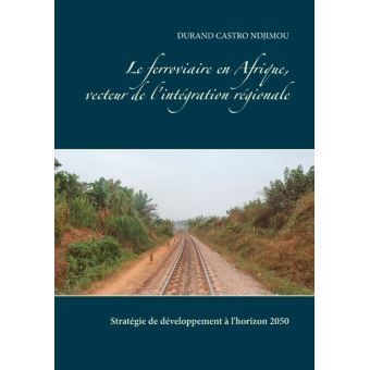 Les pays africains n'ont pas véritablement mis en place une stratégie pour faire du rail un levier de développement et d'inté