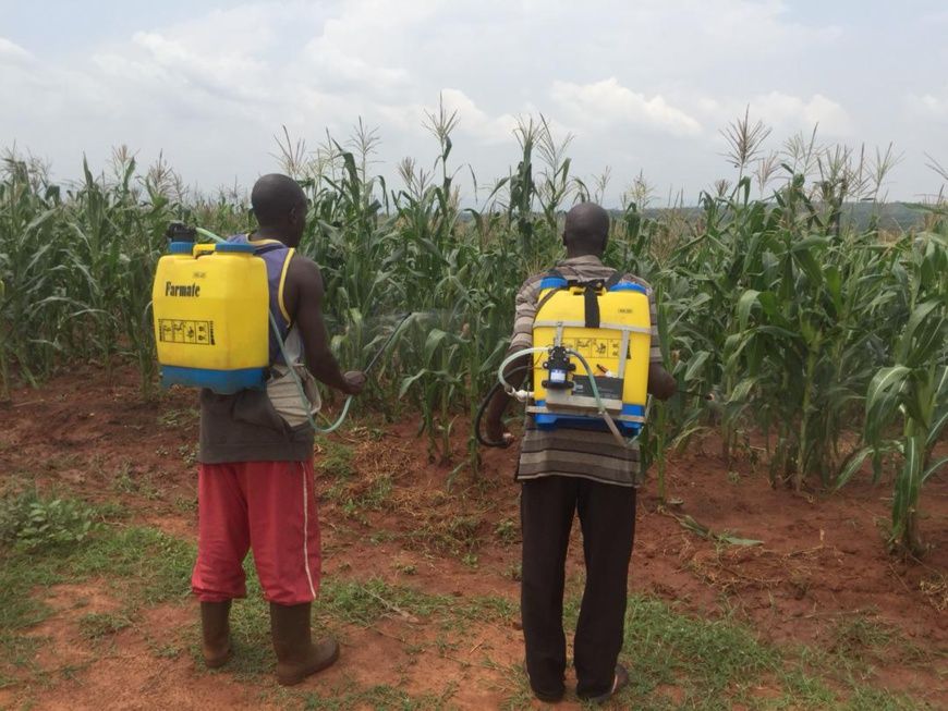 Tchad : tirons le meilleur du salon de l'agriculture SAFAGRI