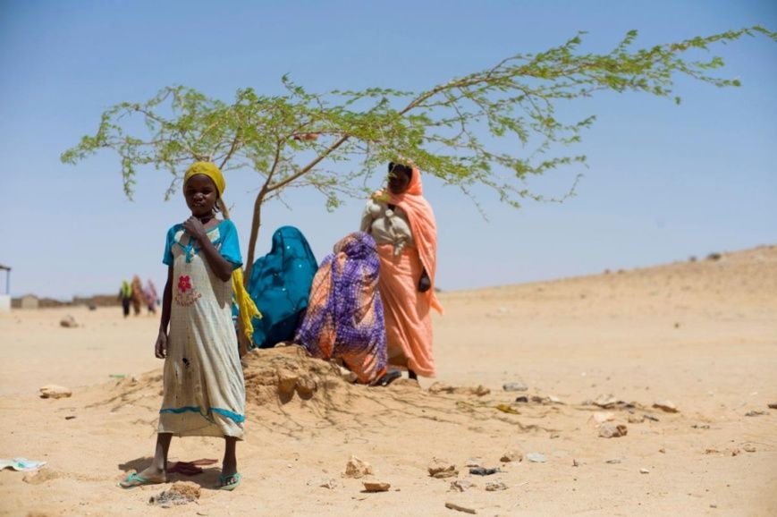 Des femmes réfugiées soudanaises se reposent à l’ombre d’un arbre au camp de réfugiés d’Iridimi, dans l’est du Tchad. Photo d