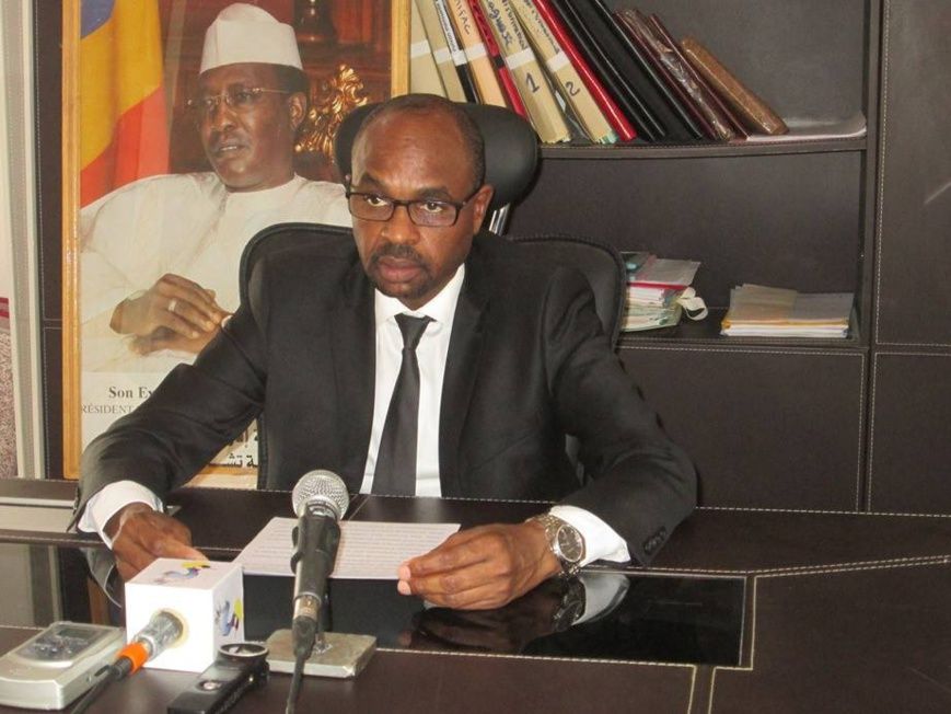 Le ministre de l’Environnement, de l’eau et de la pêche, Sidick Abdelkerim Haggar.