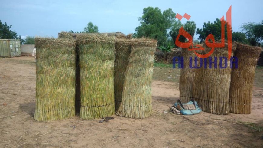 Tchad : au Sila, le commerce permet aux jeunes de se prendre en charge. © Alwihda Info