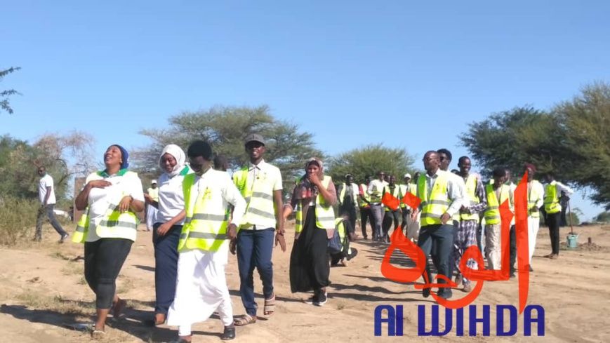 Tchad : contre la désertification, 6 hectares mis à disposition de Citoyens sans frontières