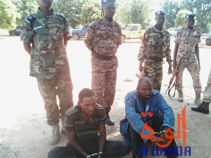 Tchad : double arrestation après l'assassinat d'un homme au Cameroun. © Alwihda Info