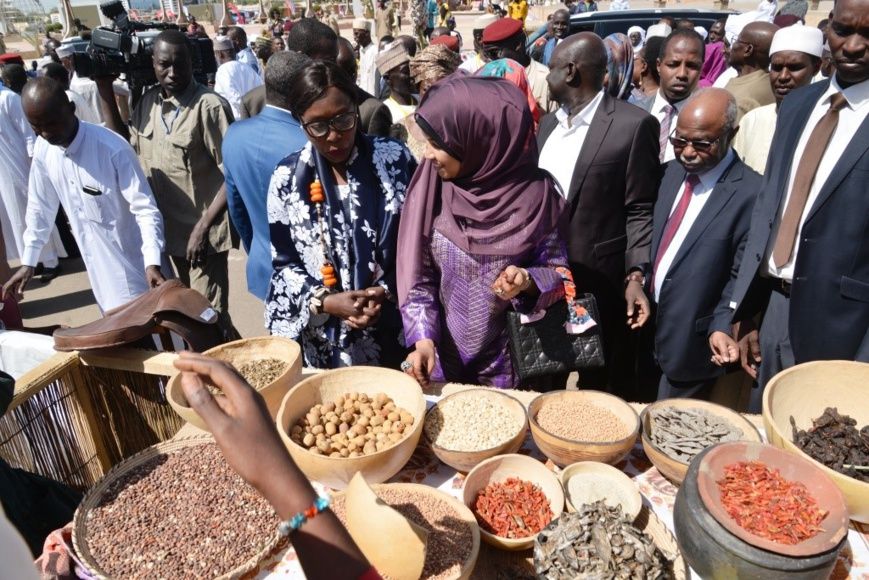 Tchad : le Festival Dary, un 
