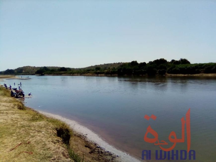 Tchad : à Koukou Angarana, l'activité économique fait oublier l'état d'urgence