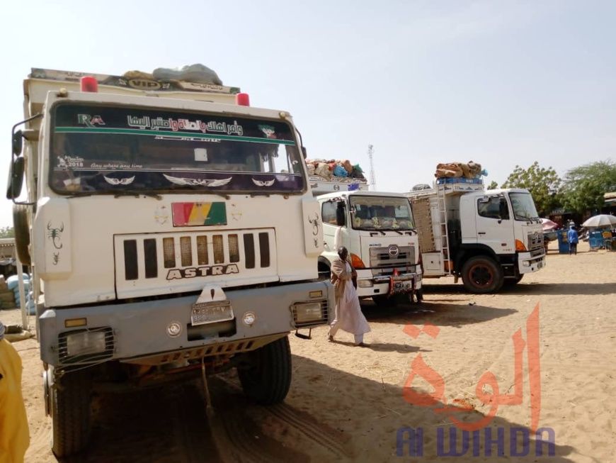 Tchad : à l'Est, le sésame s'exporte jusqu'au Soudan. © Alwihda Info