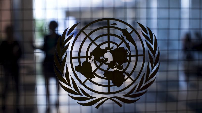 Le logo de l'ONU - blanc sur fond bleu - est une carte du monde entourée de rameaux d'olivier, symboles de paix. Par souci d'