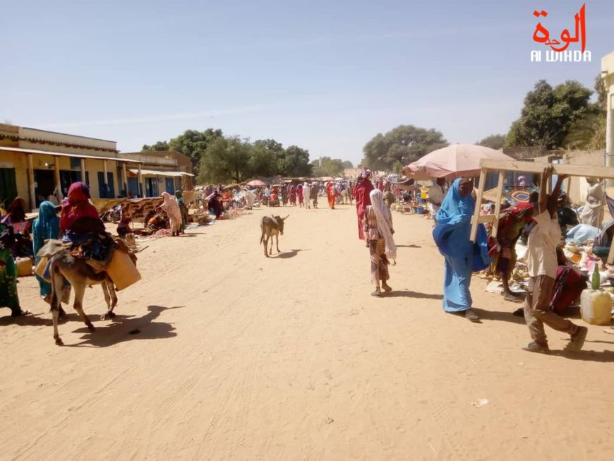La ville de Goz Beida. © Mahamat Issa Gadaya/Alwihda Info