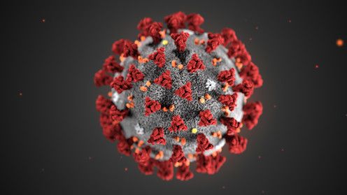 Représentation 3D du coronavirus 2019-nCoV. Les spicules rouges, qui sont vus comme une couronne (« corona ») en microscopie,