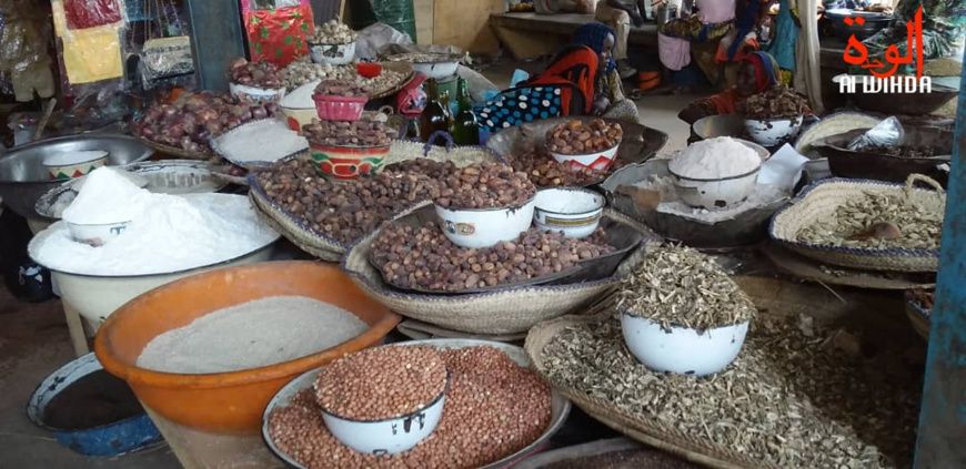 Tchad : l'insécurité alimentaire pourrait menacer plus d'un million de personnes