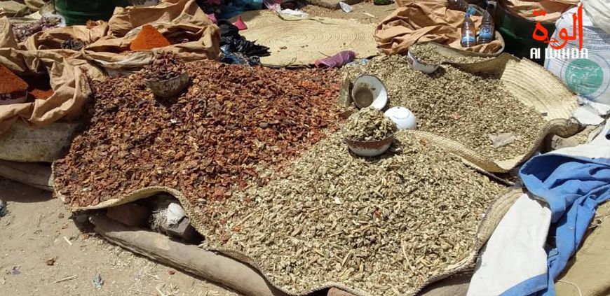 Des denrées alimentaires au marché d'Ati. © Hassan Djidda Hassan/Alwihda Info