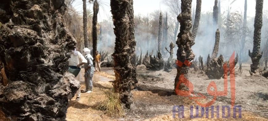 Tchad : un incendie fait des ravages à Faya