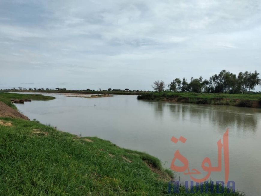 Les rives du fleuve Chari à Mandjafa, dans le 7ème arrondissement de N'Djamena, le 14 juillet 2020. © Malick Mahamat/Alwihda 