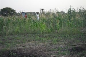 Tchad - Immobilier: Occasion en or à ne pas rater