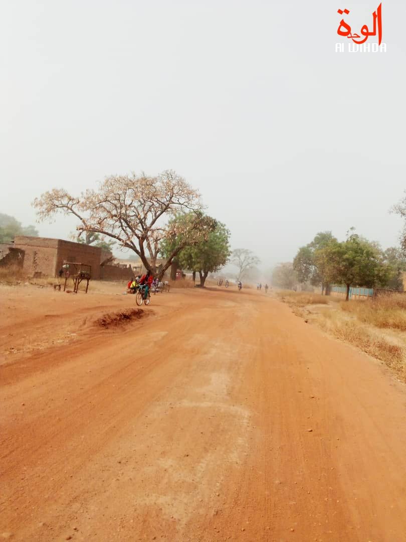 La ville de Pala, au Mayo Kebbi Ouest. © Foka Mapagne/Alwihda Info