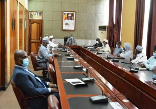 Tchad : 9000 cas de Chikungunya, le gouvernement annonce un plan de contingence