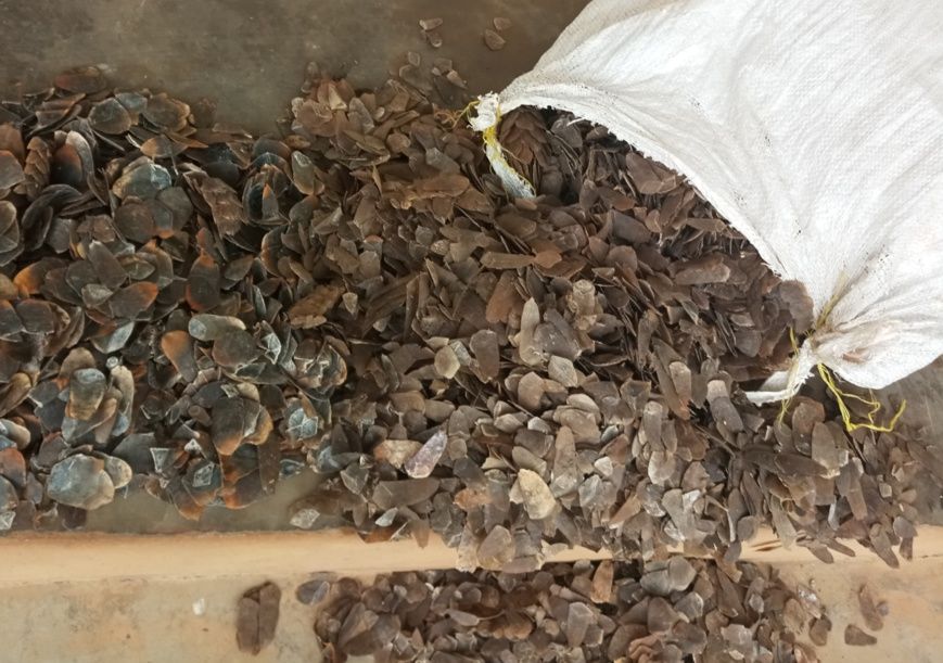 La loi protège les espèces sauvages de l'extinction.