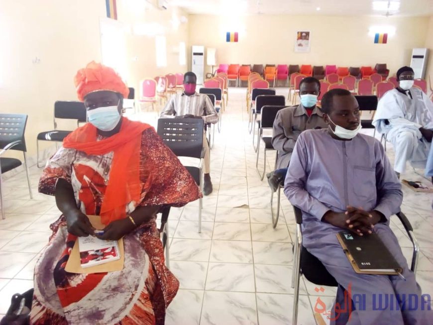 Tchad : des comités d’actions évaluent l’amélioration des moyens d'existence à l'Ouest. © Mbainaissem Gédéon Mbeïbadoum/Alwih