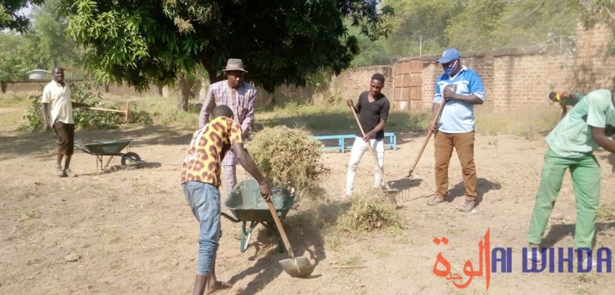 Tchad : la jeunesse s'implique dans l'assainissement à Laï